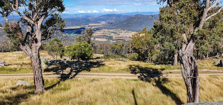 Landscape view of bush and green and gold grassland, close up of leafy trees and a walking path in the foreground.  