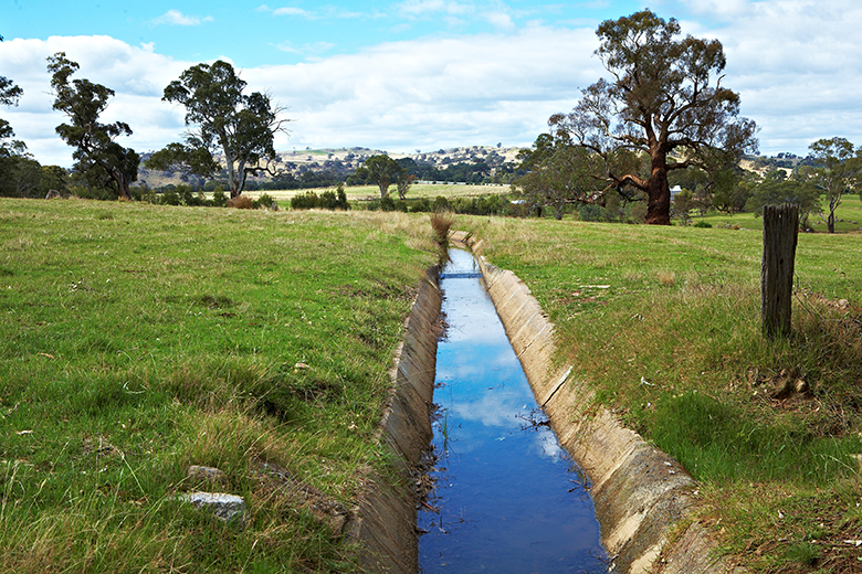 A channel of water running through a green field. 