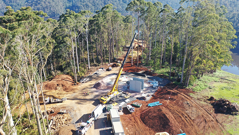 A crane in bushland helping with construction of the project.