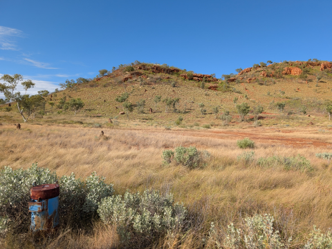 There is a blue bore in the foreground surrounded by vegetation. The background shows long grass, red dirt, trees, a rocky ridgeline and a bright blue sky.