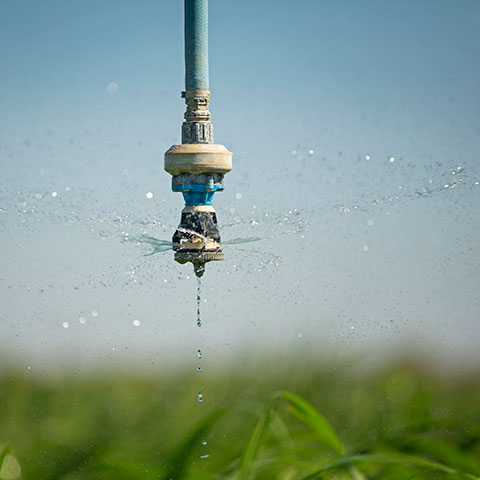 Irrigation sprinkler