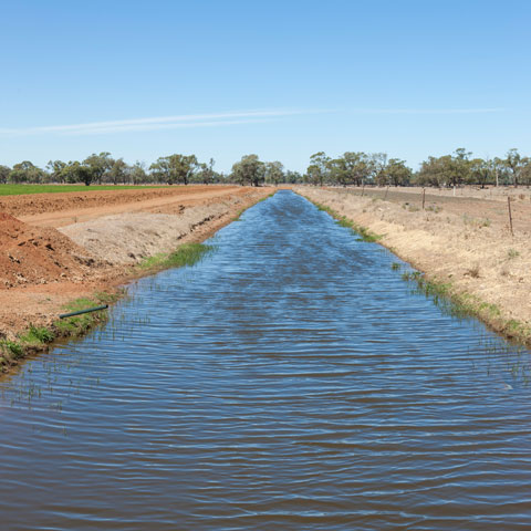 Channel of water running through a dirt paddock.