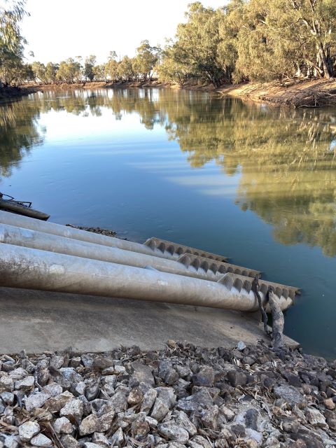 Metal pipes entering the Murray River at Pental Island. In the foreground three metal pipes on a rocky surface are entering the water. The tree line on the horizon curves with the river and the sky and tree line are reflected in the water of the river.