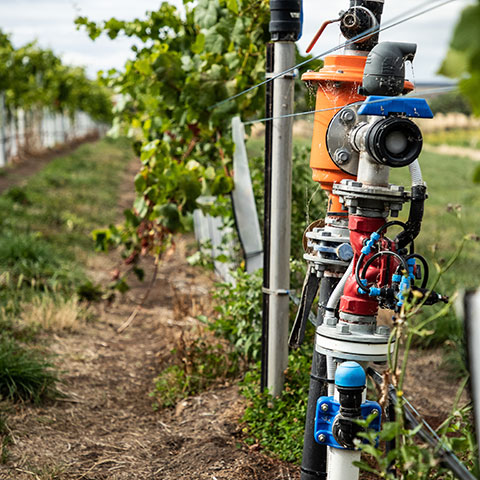 Tasmania irrigation