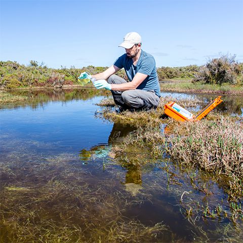 A male scientist kneels near water, using collection equipment.