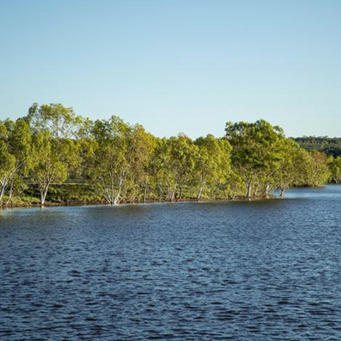 Large body of water with gumtrees lining the bank.