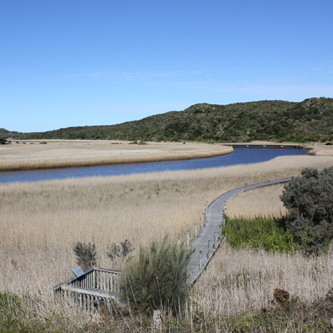 Lower Gellibrand River Estuary surrounded by wetlands and native grasses with viewing platform in foreground
