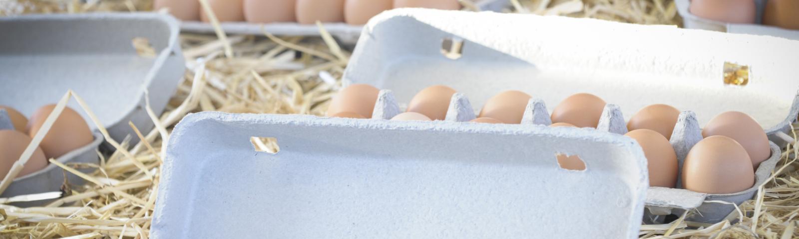 eggs from a market in Brisbane in Queensland in Australia