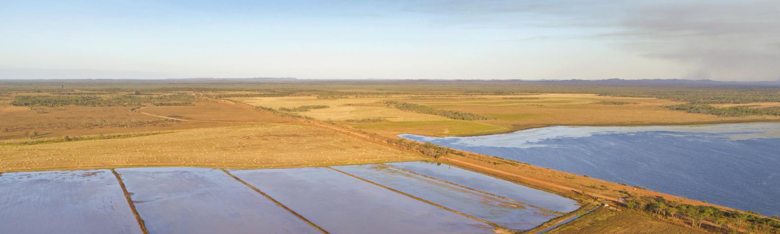 2.2-feasibility-projects-banner-darwin-rice-field.jpg