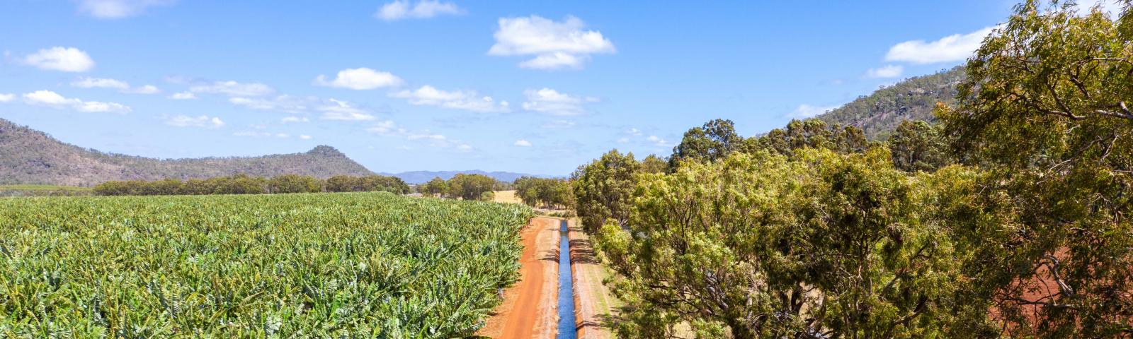 Aerial view of a channel in the Mareeba-Dimbulah Water Supply Scheme efficiency Improvement project in north Queensland Image courtesy of SunWater. Crop on left, water channel centre, trees on right. Hlls in the background