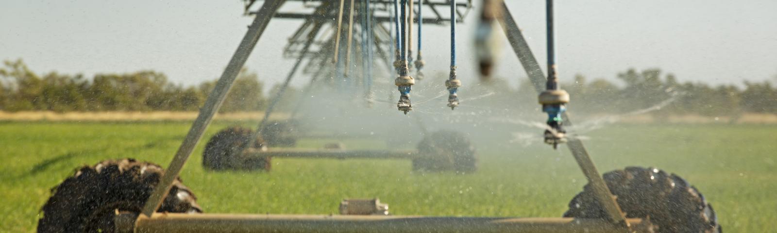 Irrigation