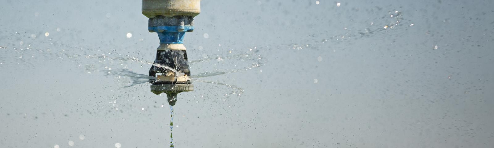 a close up of an overhead sprinkler in use above a crop. Image courtesy of Nathan Dyer