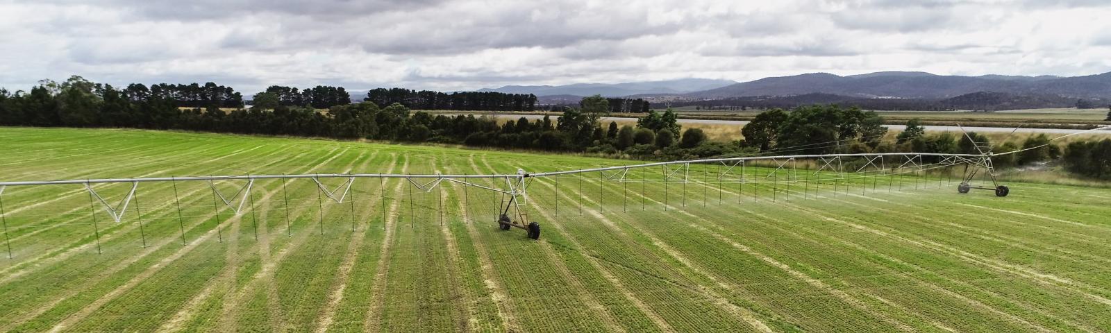 Irrigation pivot in the Tasmanian Irrigation Tranche III: Phase One