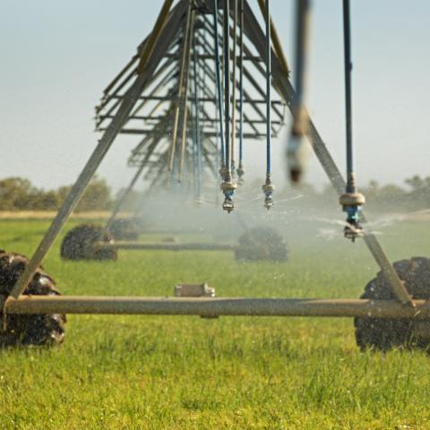 Irrigation