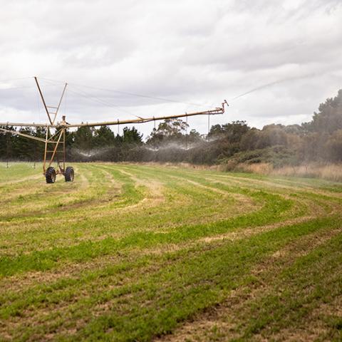 central pivot boom irrigation