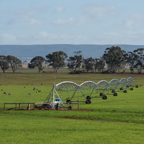 Pivot irrigator at Parwan area of the Western Irrigation Network in Victoria