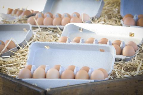 eggs from a market in Brisbane in Queensland in Australia