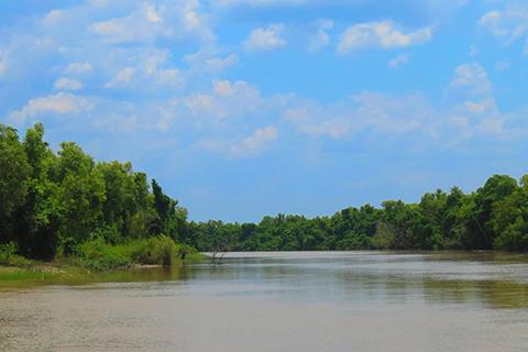 Landscape photo of the Adelaide River in the Northern Territory with trees on both sides.