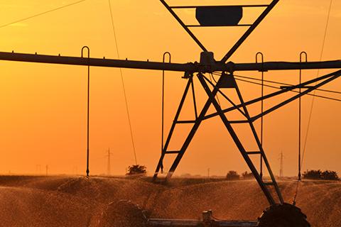 Agricultural watering equipment in a crop field.