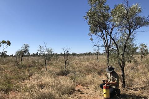 Photograph of Ti Tree Basin landscape with groundwater bore monitoring