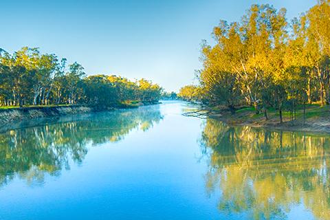 River with trees in the background and grass in the foreground. 