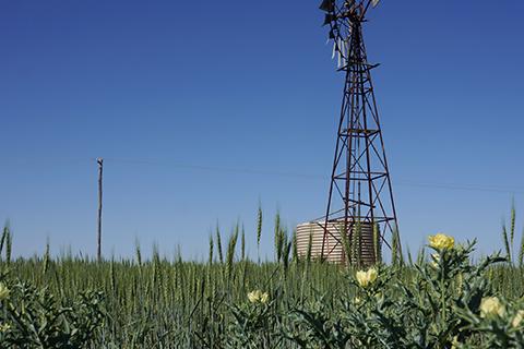 Windmill in a field.