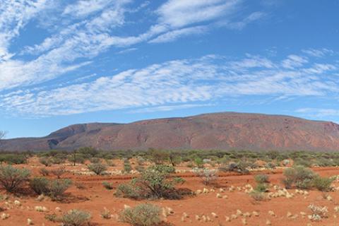 An image of Mount Augustus in Western Australia desert.
