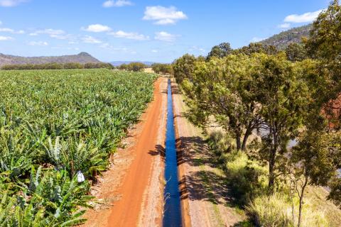 Aerial view of a channel in the Mareeba-Dimbulah Water Supply Scheme efficiency Improvement project in north Queensland Image courtesy of SunWater. Crop on left, water channel centre, trees on right. Hlls in the background