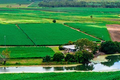 Aerial of lush green fields with a stream of water in the middle and blue sky with clouds above.