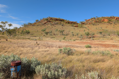 There is a blue bore in the foreground surrounded by vegetation. The background shows long grass, red dirt, trees, a rocky ridgeline and a bright blue sky. 