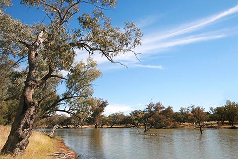 Landscape photo of Darling River near town of Bourke with dry landscape on both sides and trees coming up out of the water.