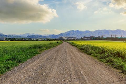 Country road with crop fields to the sides and blue sky with clouds in the background.