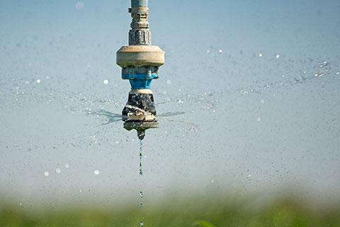 Irrigation sprinkler