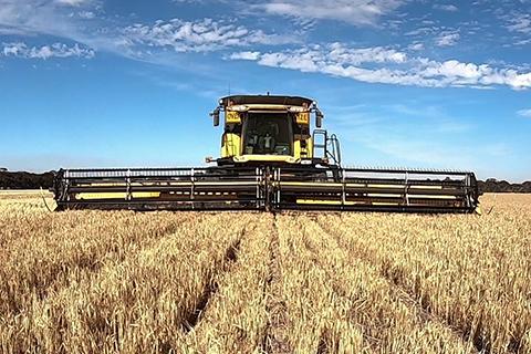 Combine harvester in field.