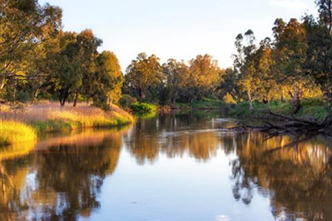 Calm river with trees and shrubs lining the bank, light blue sky.