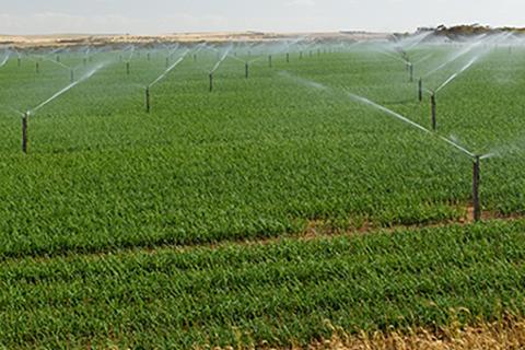 A farm within the Murray–Darling Basin.