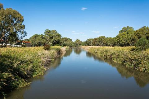 River with a reflection of a blue sky on the surface. There are green shrubs on the banks of the river growing into the water and tall green  trees.