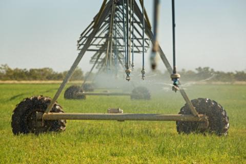 Irrigation