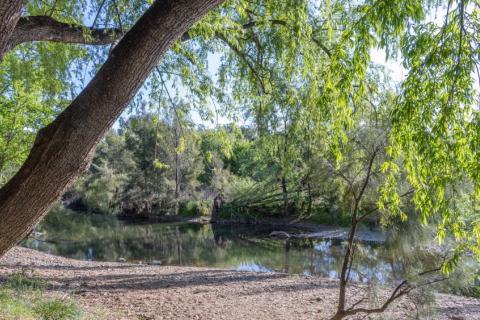 Nearby landscape reflecting on the Peel River, NSW.