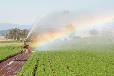 Irrigation equipment watering a crop and creating a rainbow in the sunlight.