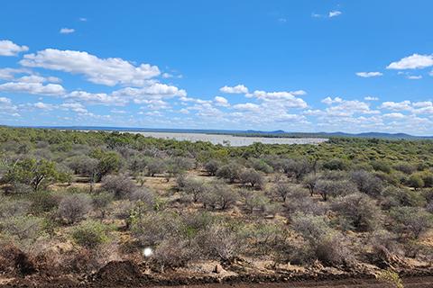 Scrubby bush track in foreground with body of water behind and blue sky with light clouds.