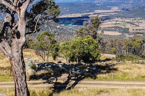 Landscape view of bush and green and gold grassland, close up of leafy trees and a walking path in the foreground. 