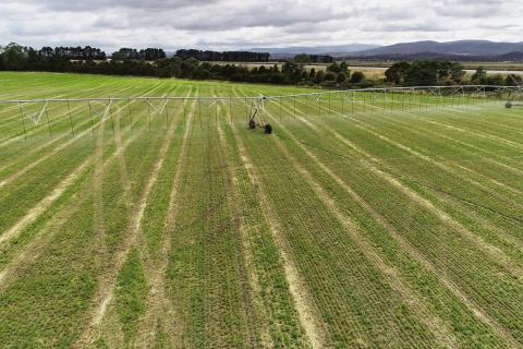 Irrigation pivot in the Tasmanian Irrigation Tranche III: Phase One