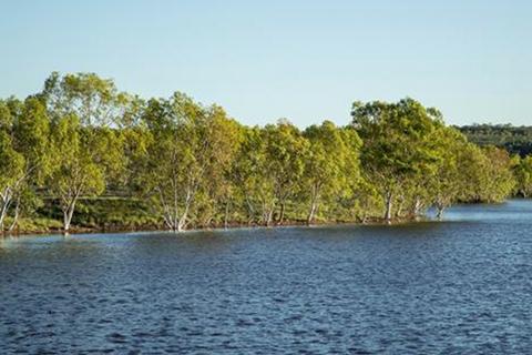 Large body of water with gumtrees lining the bank.