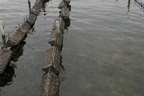 Scientific equipment being used in Georges Bay in Tasmania.