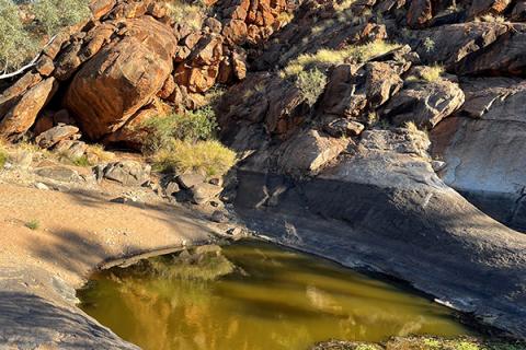 Photograph of a waterhole in APY Lands