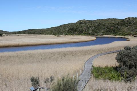 Lower Gellibrand River Estuary surrounded by wetlands and native grasses with viewing platform in foreground