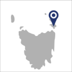 Project map.